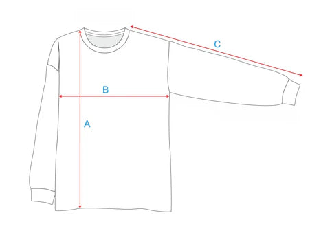 Longsleeve Toronto Light Gray SALT
