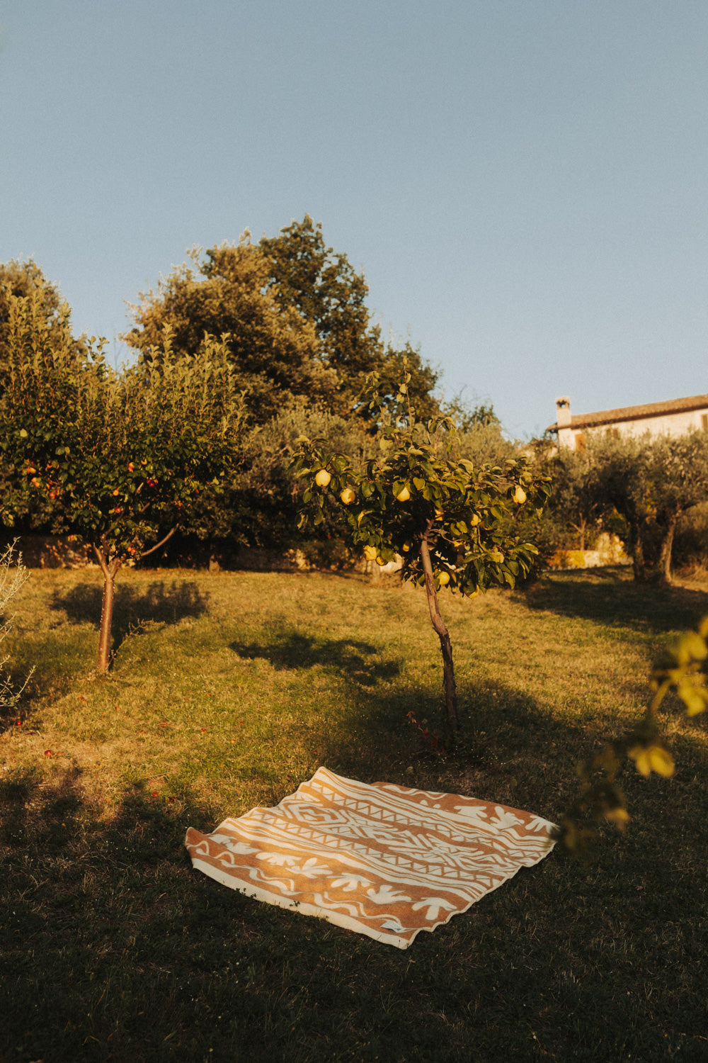 Koc Wełniany Andy - 10