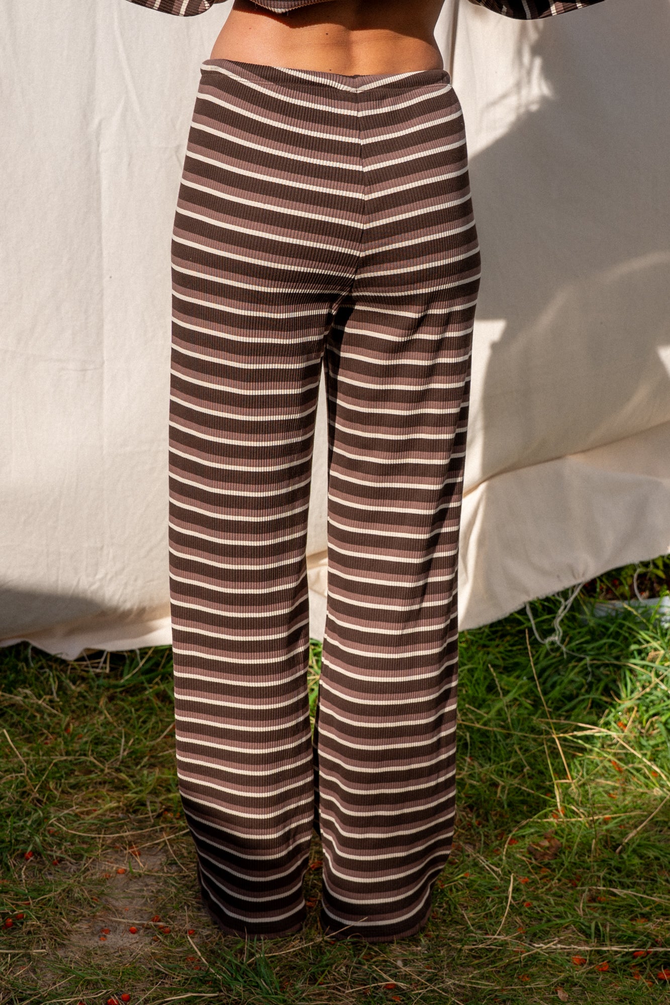 Calm Brown Stripes Trousers