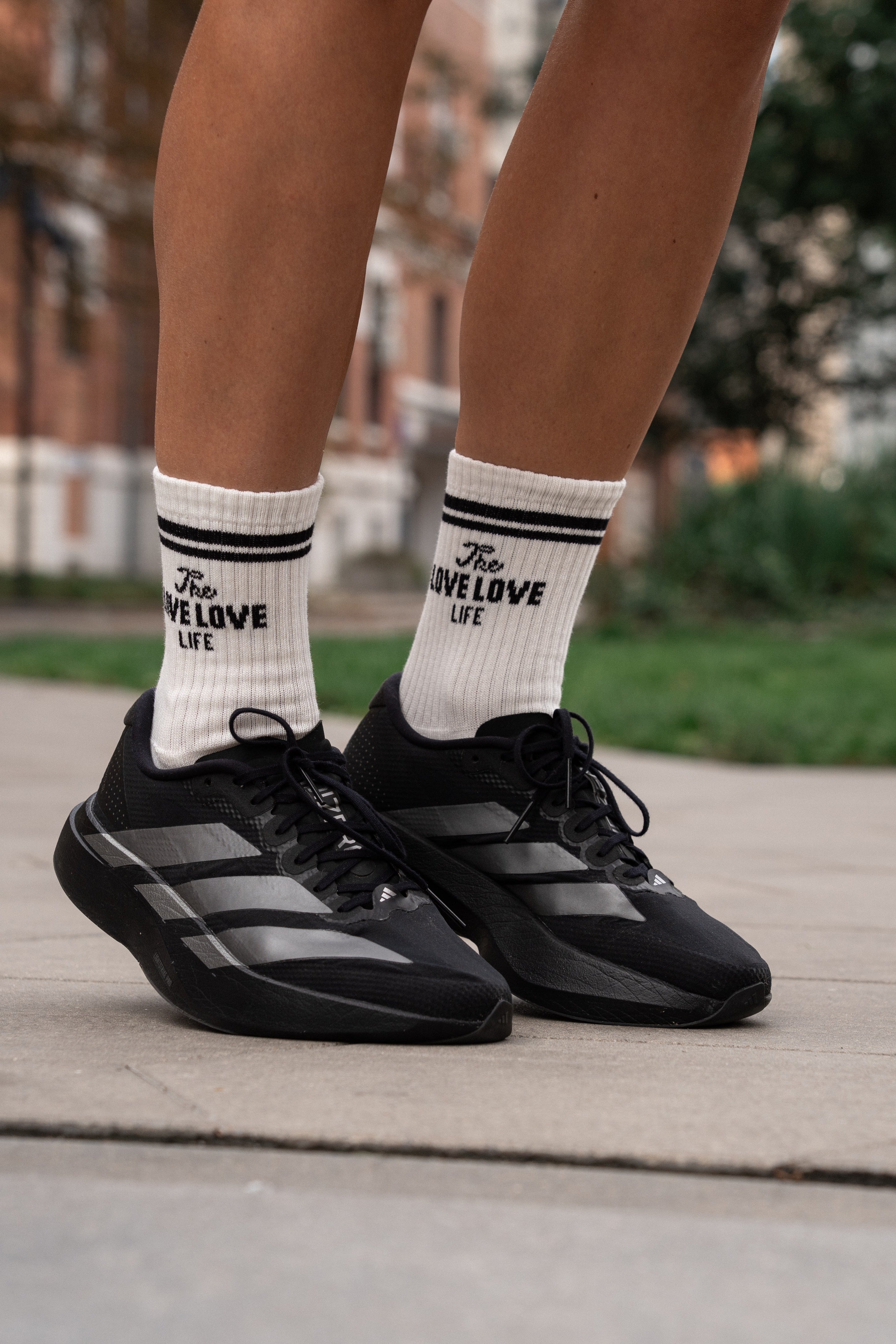 Lincoln B&W 2-pack Socks