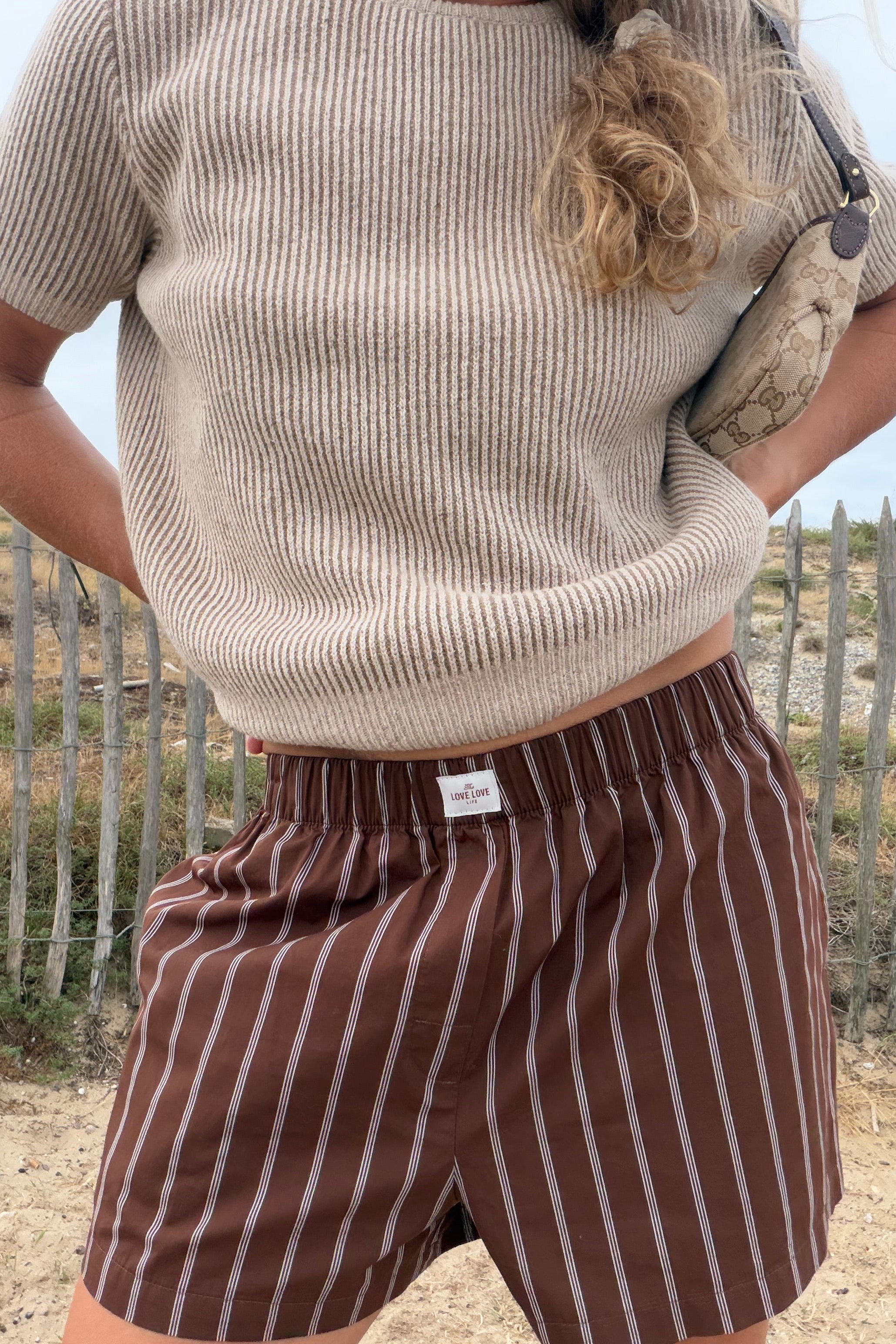 Berlin Brown Stripes Shorts - 24
