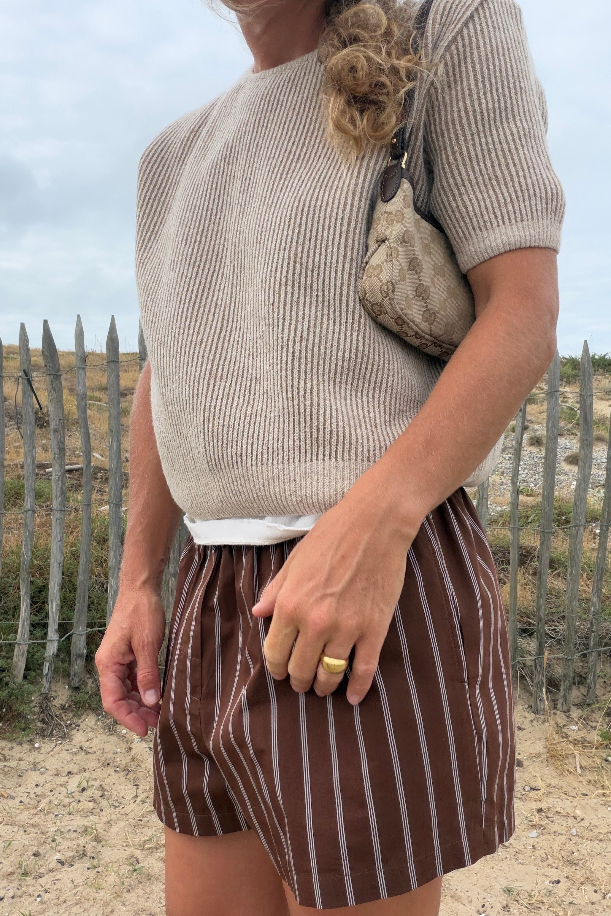 Berlin Brown Stripes Shorts - 27