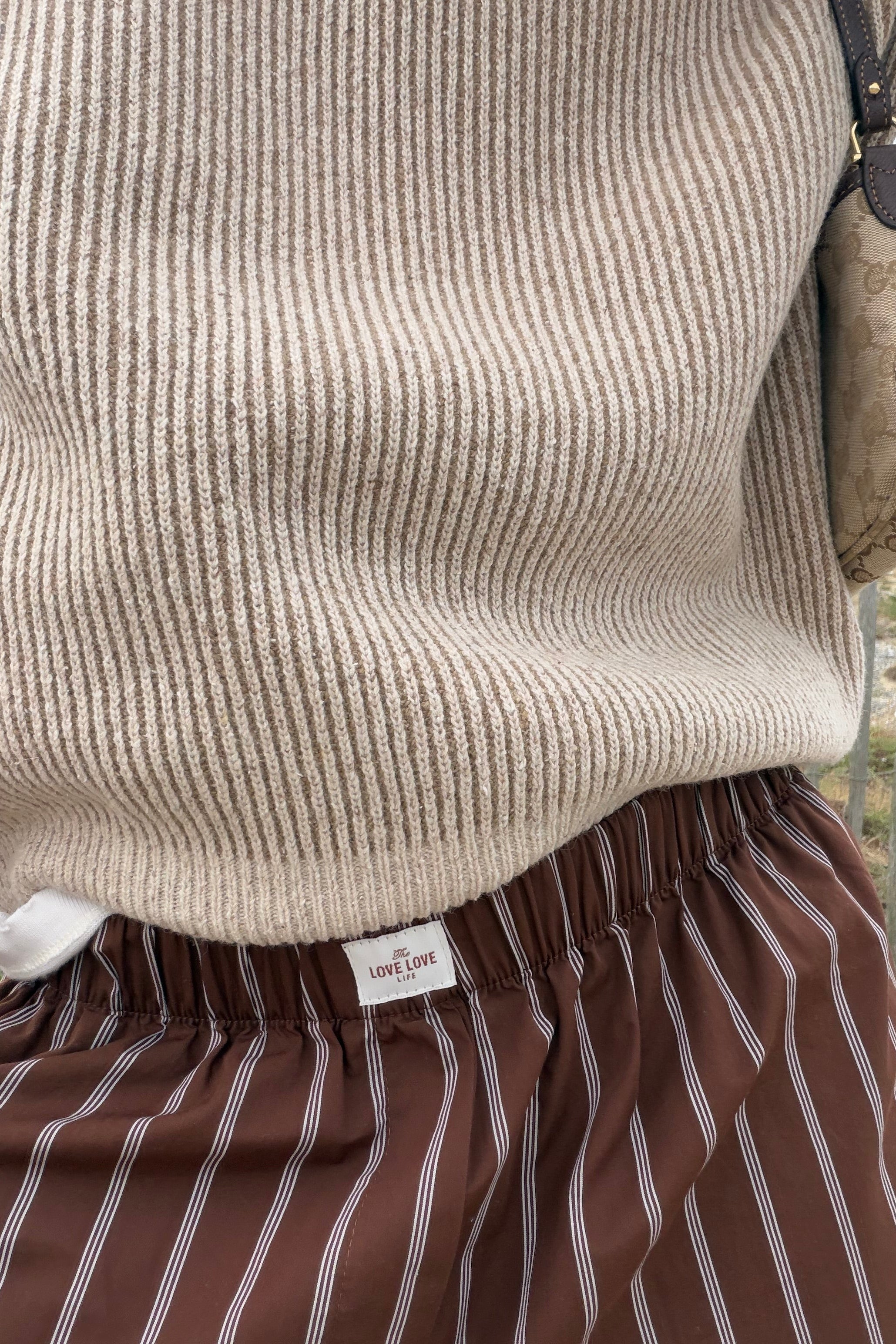 Berlin Brown Stripes Shorts - 28