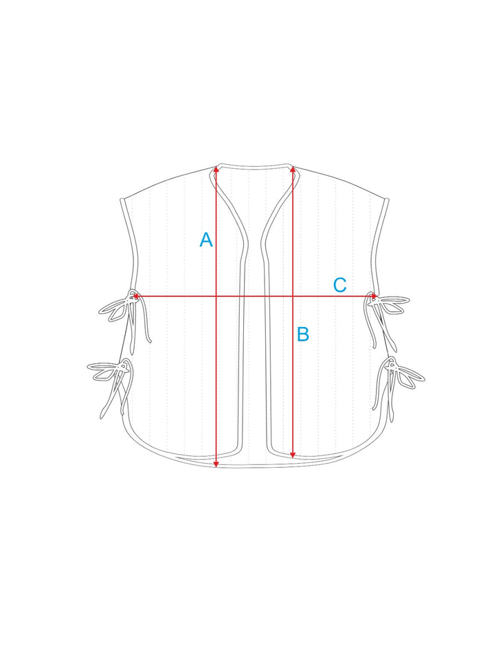 Desi Brown Vest
