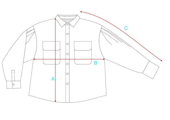 Roberta Blue Plaid Shirt