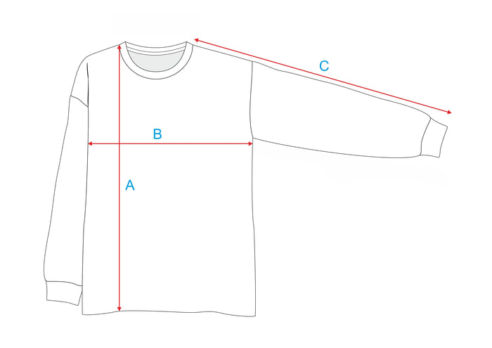 Longsleeve State Light Gray BANDI