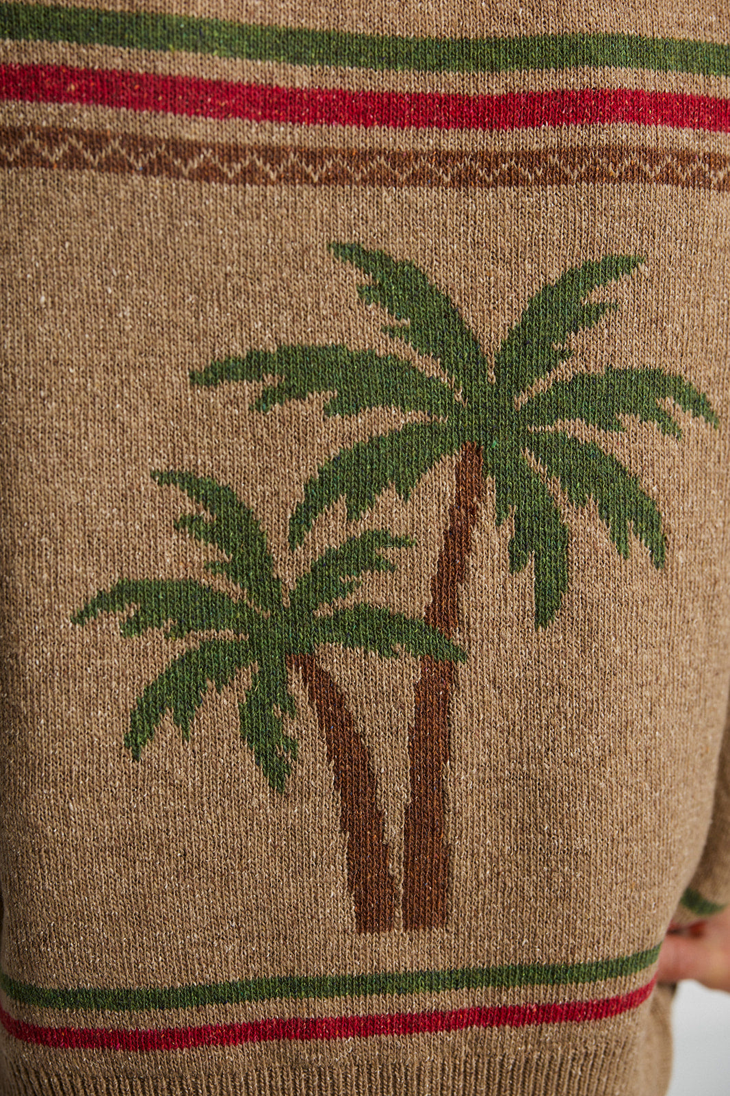 Kardigan Palm Summer - 6